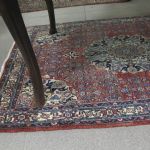 616 2556 ORIENTAL RUG